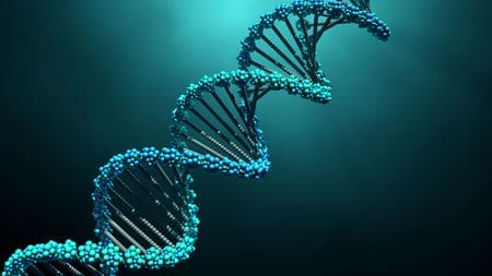 DNA Tests - Here to Stay? 1 278101fd29c6bdd55339