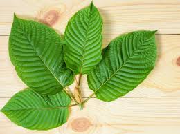 kratom