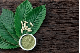 Ultimate Guide for Beginners: Everything You Should Know About Kratom 2 Screen Shot 2020 05 05 at 6.33.05 AM
