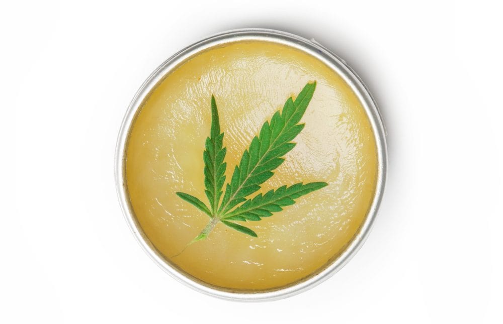 Cannabis leaf in a petri dish for a FAB CBD Review article.