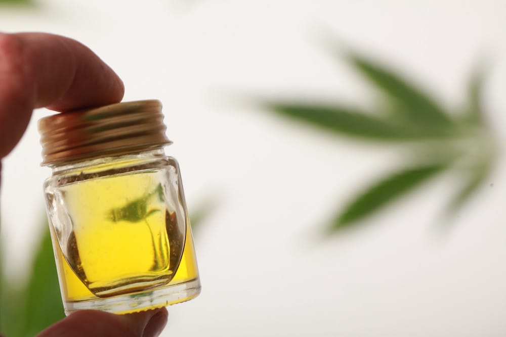 Photo of a cannabis leaf with CBD oil for a cbdMD Review article.