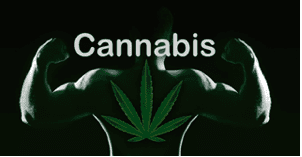 An Athlete’s Guide to Safe and Effective Cannabis Use 1 Screen Shot 2020 07 16 at 6.30.37 AM