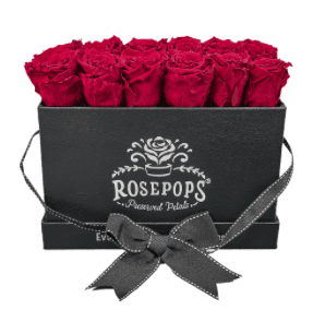 Screen Shot 2020 08 21 at 6.07.54 AM