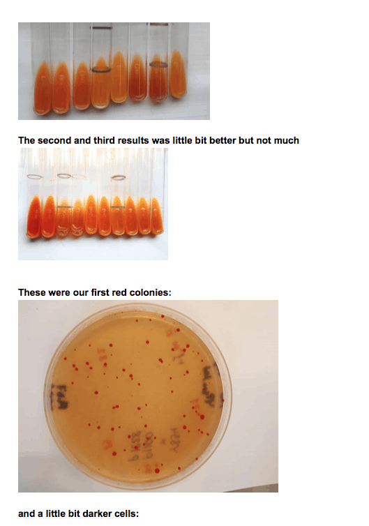 Screen Shot 2021 03 25 at 5.50.29 AM