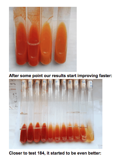 How We Used Biosynthesis to Produce the World’s Strongest Antioxidant 6 Screen Shot 2021 03 25 at 5.50.52 AM