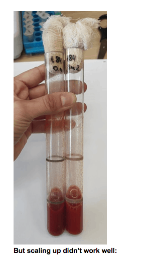 Screen Shot 2021 03 25 at 5.51.14 AM