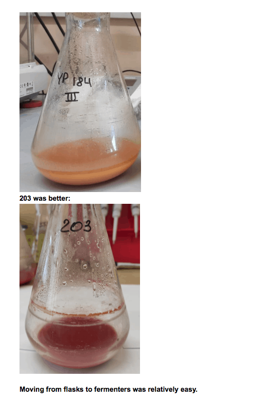 Screen Shot 2021 03 25 at 5.51.35 AM