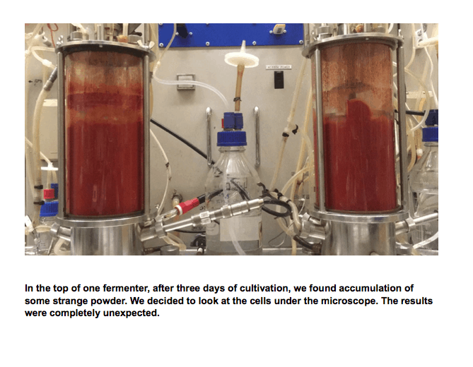 How We Used Biosynthesis to Produce the World’s Strongest Antioxidant 9 Screen Shot 2021 03 25 at 5.51.55 AM