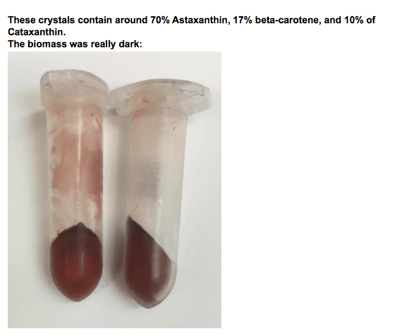How We Used Biosynthesis to Produce the World’s Strongest Antioxidant 12 Screen Shot 2021 03 25 at 5.53.13 AM