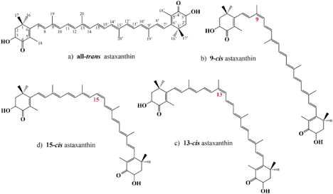 How We Used Biosynthesis to Produce the World’s Strongest Antioxidant 4 image 4
