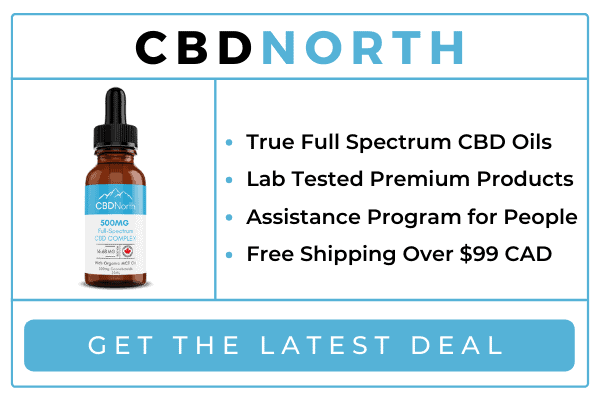 Best CBD Oil Canada: Top 3 CBD Oil Brands in 2023 1 CBDNORTH 1