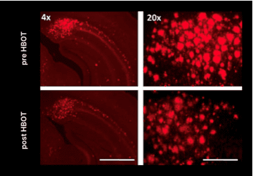 Screen Shot 2021 10 23 at 9.51.41 AM