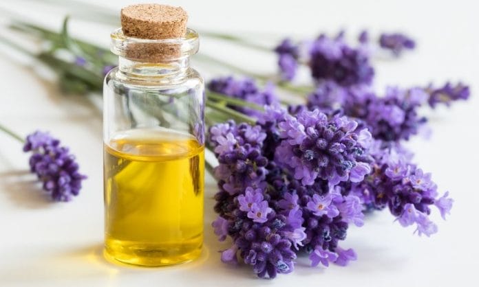 Different Essential Oil Uses in Modern Health Care