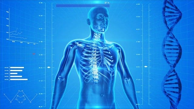 Cel-Sci To Present Abstract at 2022 ASCO Annual Meeting Regarding Multikine Study 1 human skeleton gdd9536812 640