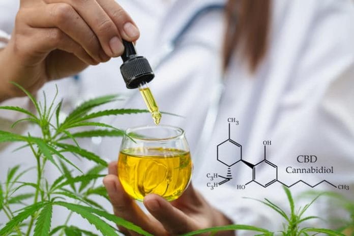 CBD elements in Cannabis, CBD oil cannabis extract, researching hemp oil extracts for medical purposes.
