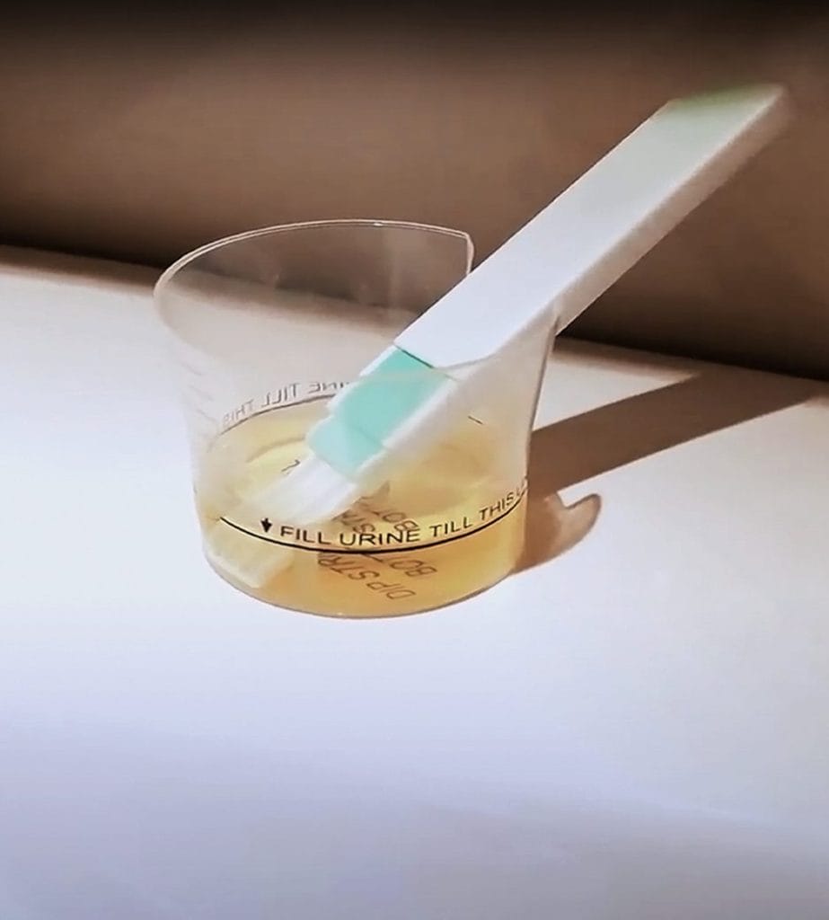 Inito fertility monitor review: The all-in-one hormone tracker 4 image 1 3