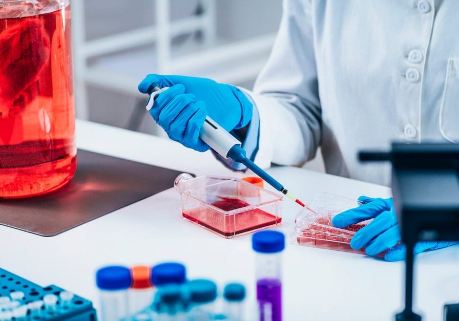 The Emergence Of Smart Cell Therapy Manufacturing With The Help Of Bioreactors 2 image 3