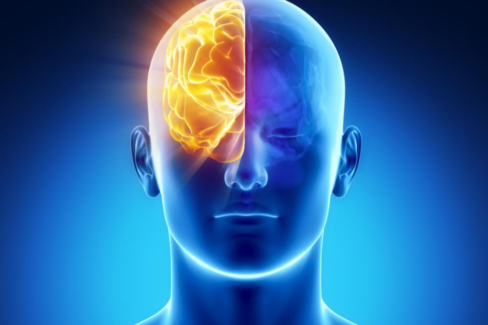 nootropics natural