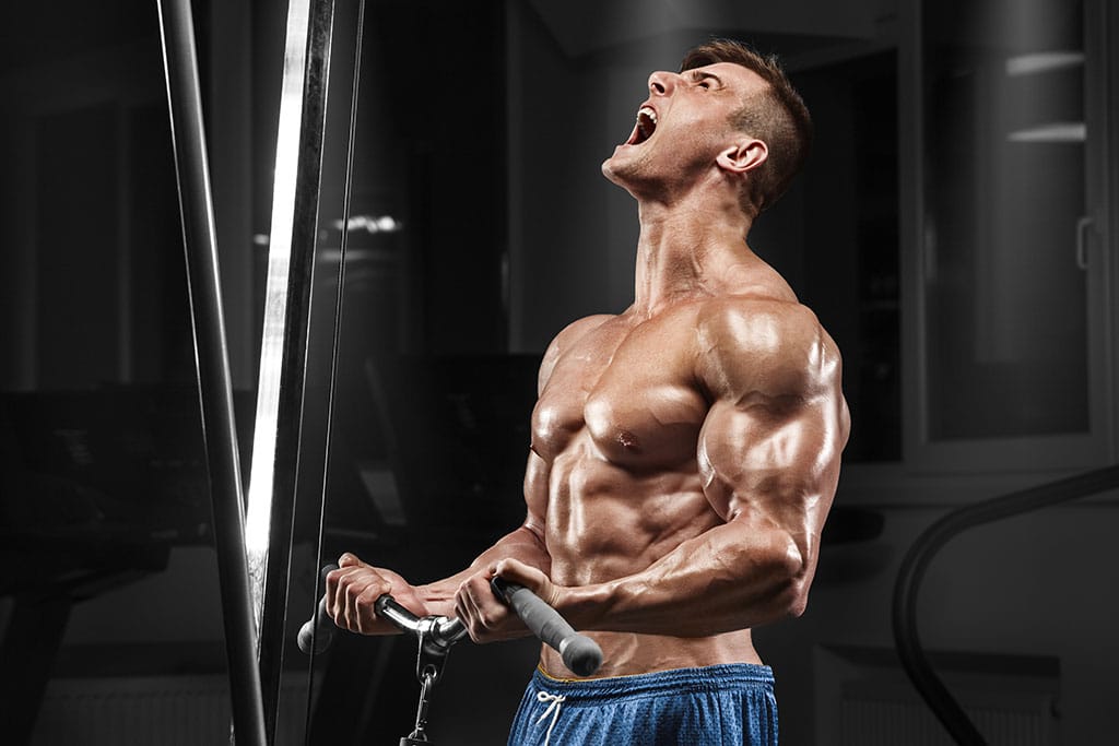 Cardarine (GW-501516) Review: Side Effects, Cycles & Where to Buy? 4 Bodybuilder Big Muscles Bicep Curl