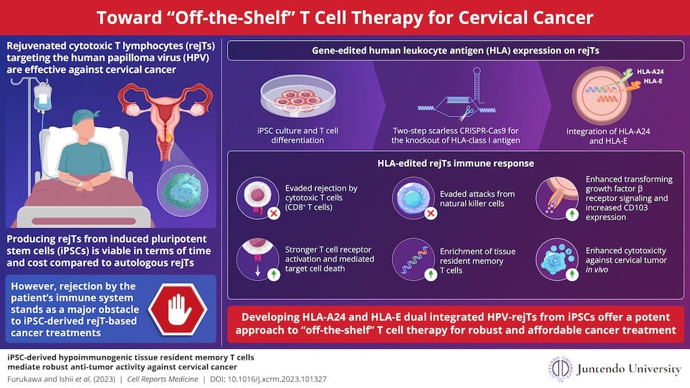 Geneedited Lymphocytes And The Path Toward ‘OfftheShelf’ Therapy