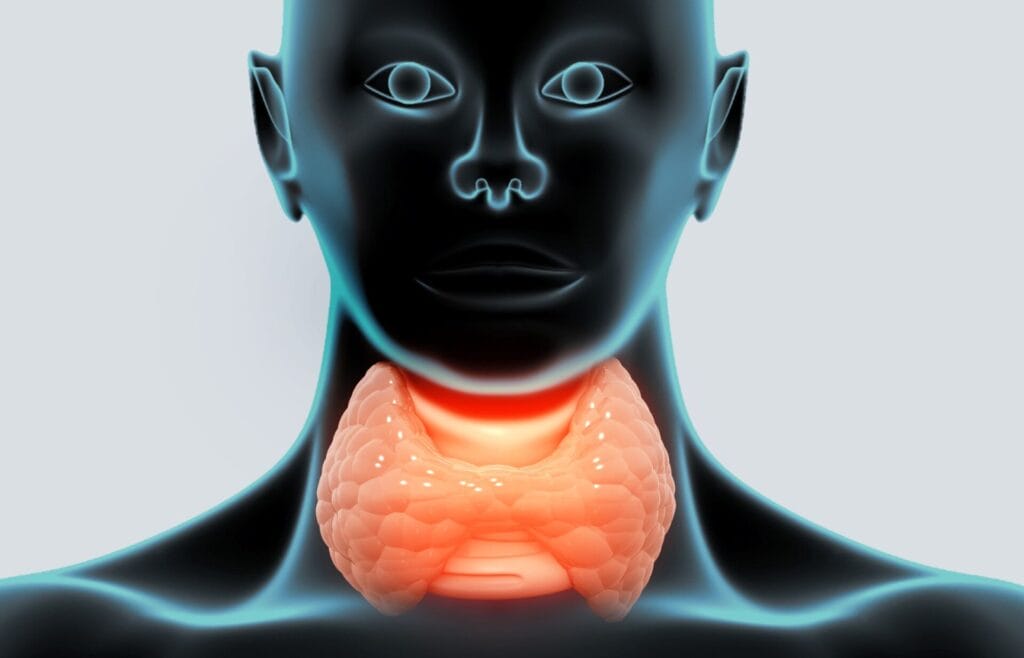 How To Diagnose Thyroid Dysfunction: Tests, Symptoms, And Next Steps 1 image 1