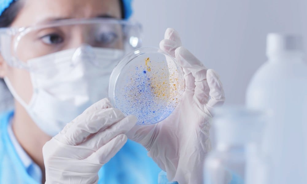 A medical laboratory professional wearing a face mask and gloves as they hold a petri dish with a cell culture.